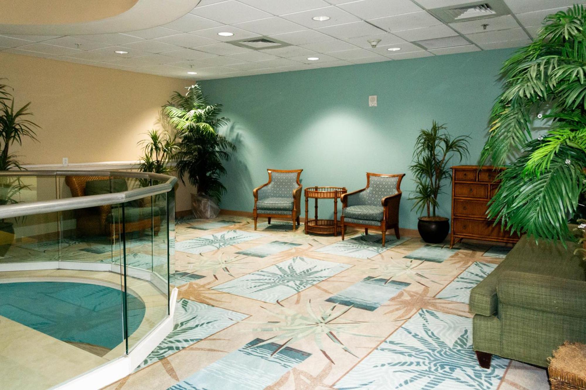 Turtle Tales At Majestic Apartment *