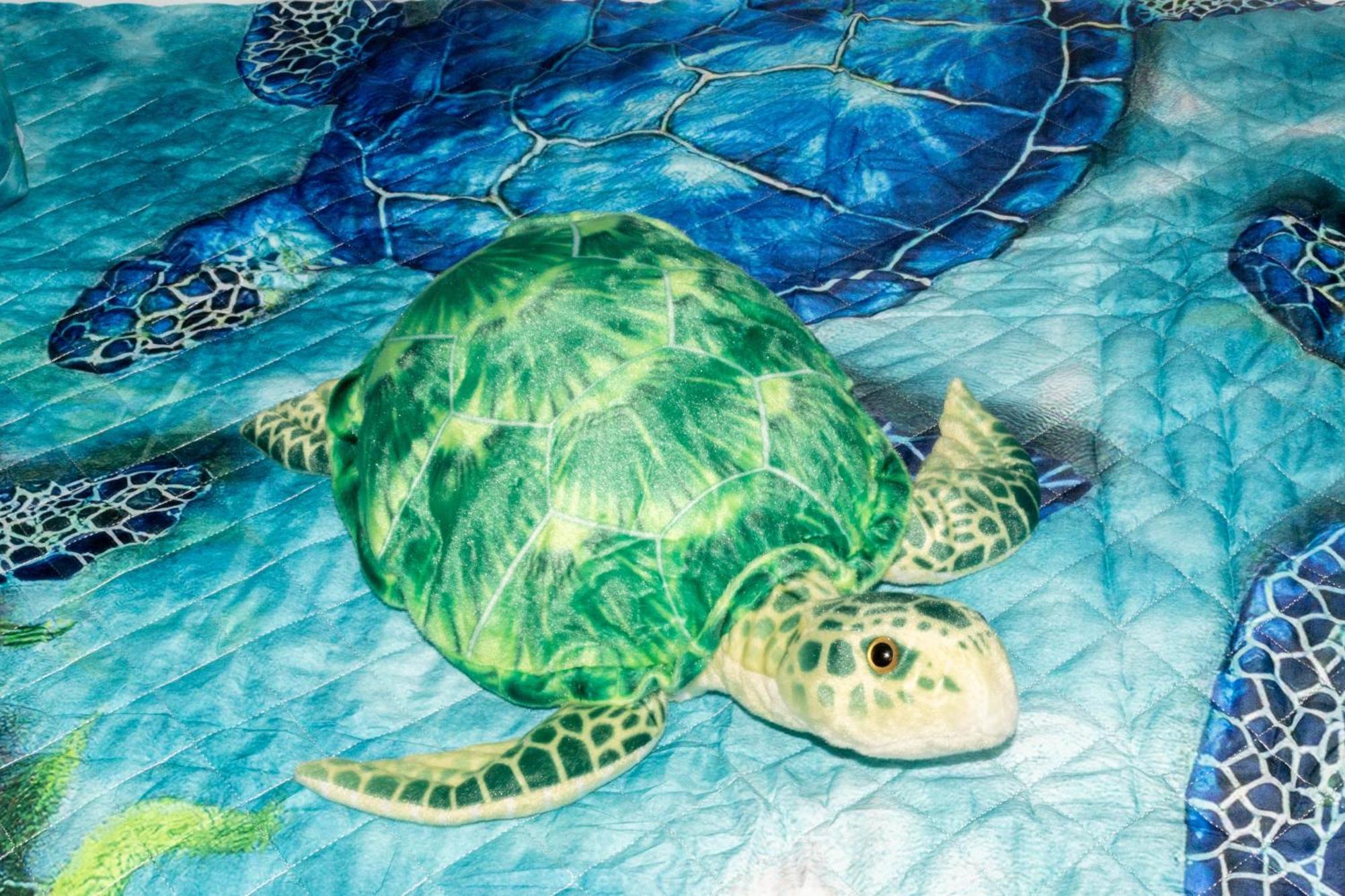 Turtle Tales At Majestic Apartment Panama City Beach